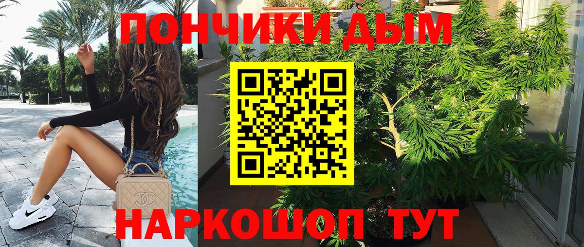 Конопля Bruce Banner  Конопля White Widow  Вход с VPN  Конопля SATIVA & INDICA  Канабис ГИДРОПОН  Клинцы 